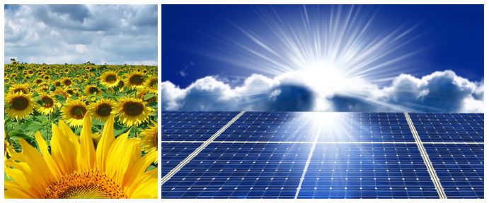 太陽能：潔淨的再生能源